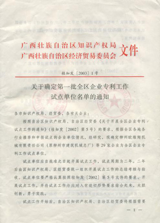 康興被廣西區(qū)經(jīng)貿(mào)委、廣西區(qū)知識(shí)產(chǎn)權(quán)局確定為＂廣西專利工作試點(diǎn)企業(yè)＂