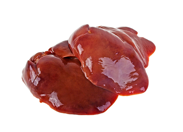 動(dòng)物內(nèi)臟、食材、肝臟-康興醫(yī)療器械官網(wǎng)